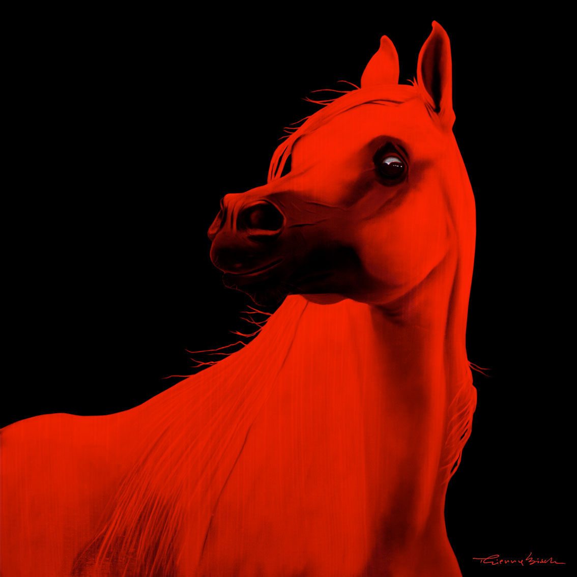 CAFÉ HEDIARD-SINGAPORE Horse-red-stallion-arabian-yearling- Thierry Bisch Contemporary painter animals painting art  nature biodiversity conservation 